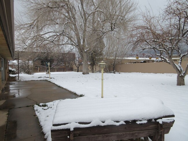 Building Photo - Spacious single level home with a retro feel - you must see!