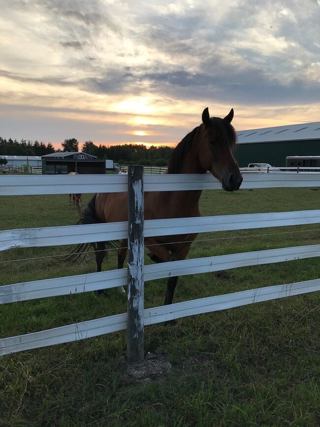 Building Photo - Blu Dot Farm 3