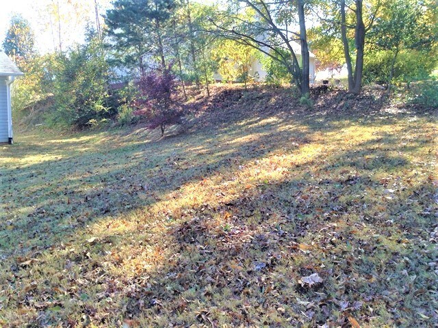 Building Photo - 5 Boysenberry Dr