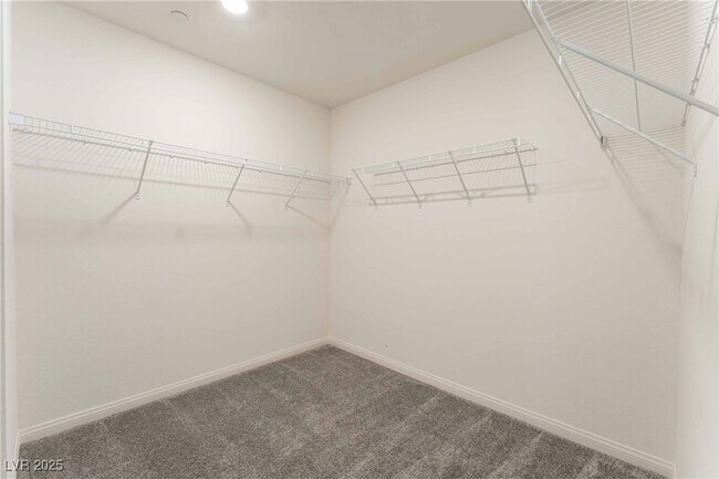 Building Photo - 2824 Mozia Ct