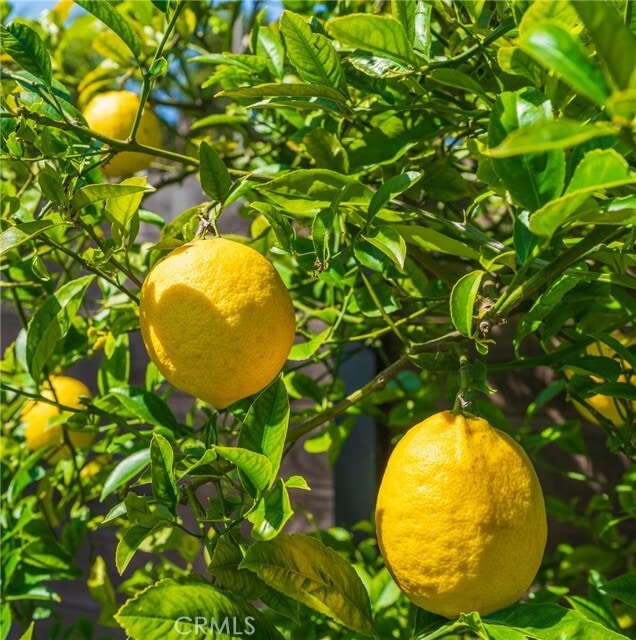 Building Photo - 762 Rosecrans Ave