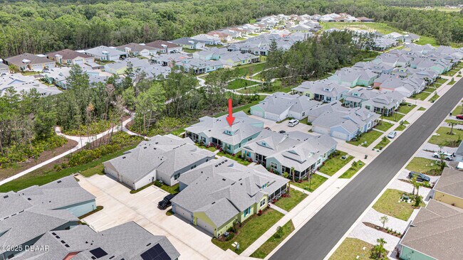 Building Photo - 216 Gypsy Palace Ln