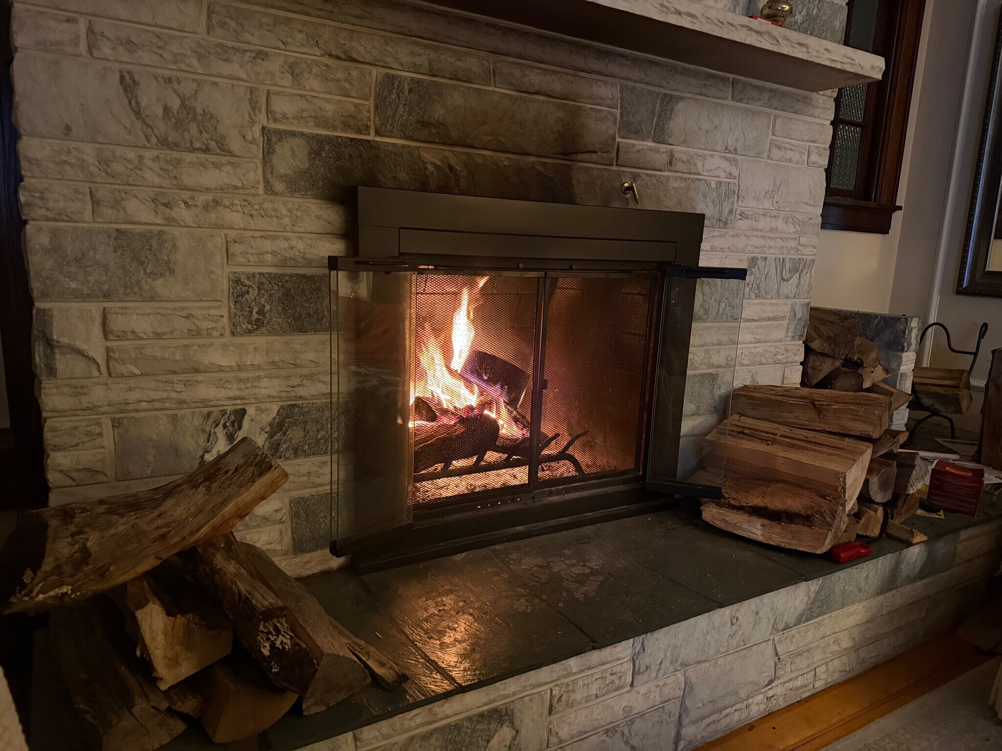Fireplace in Living Room - 519 E Monroe St