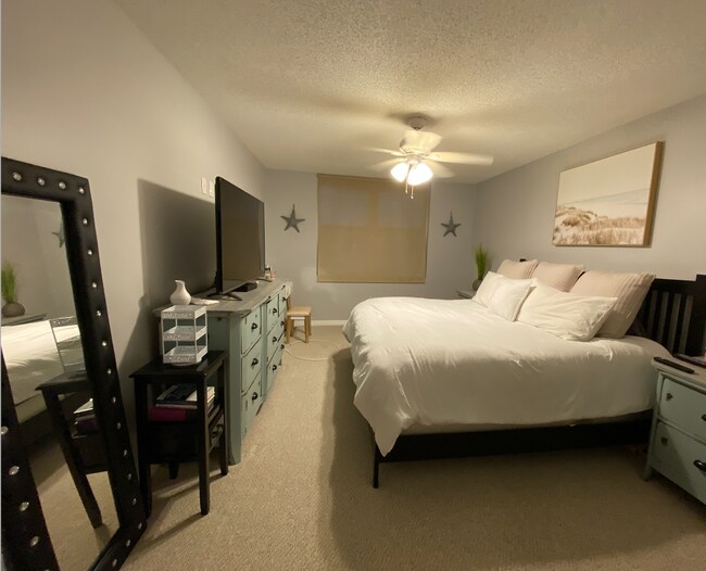 Building Photo - 2323 Feather Sound Dr