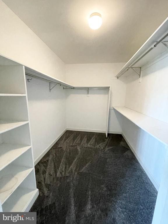 Building Photo - 6319 Chaucer View Cir
