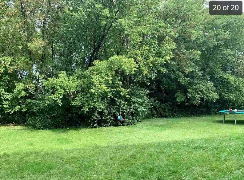 Wooded backyard (no rear neigbors) - 2043 Hilltop Dr