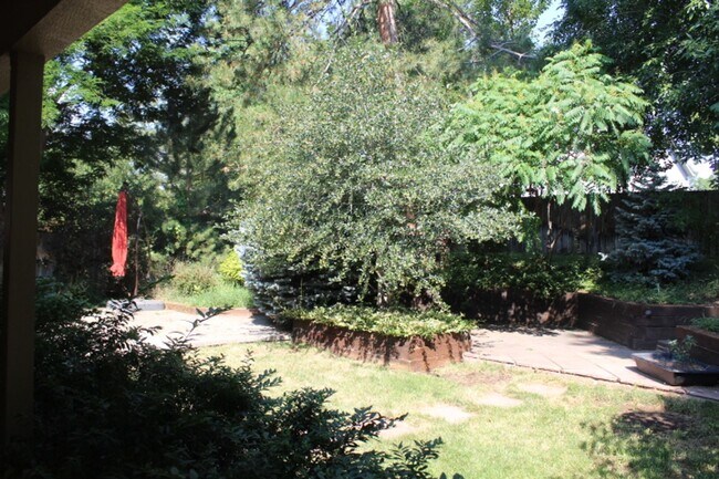 Building Photo - Gorgeous 2 Story Home in Columbine West!