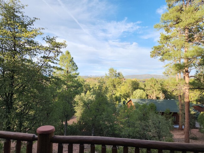 Building Photo - Furnished Log Cabin Retreat in the Pines