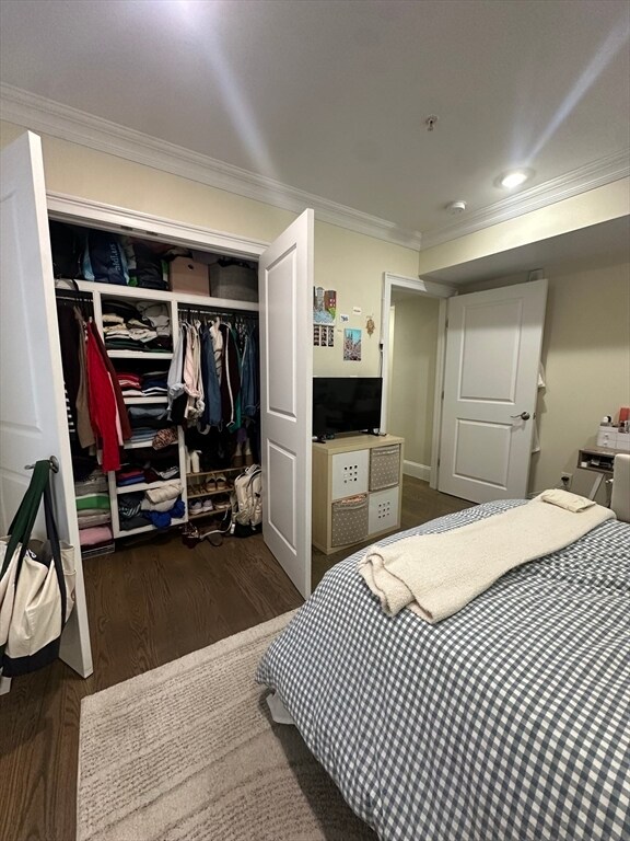 Building Photo - 56 Cedar St