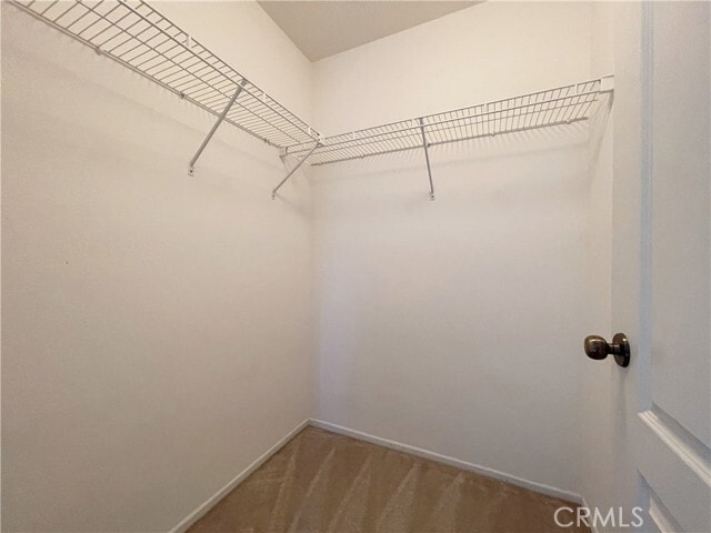 Building Photo - 16612 China Berry Ct