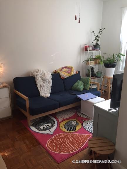 Building Photo - 1124 Cambridge St