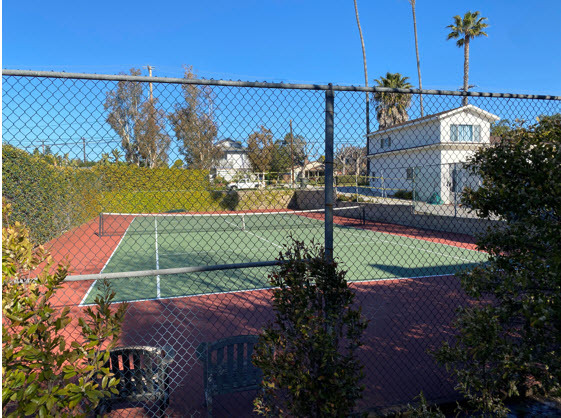 Tennis Court - 312 Paige Ln