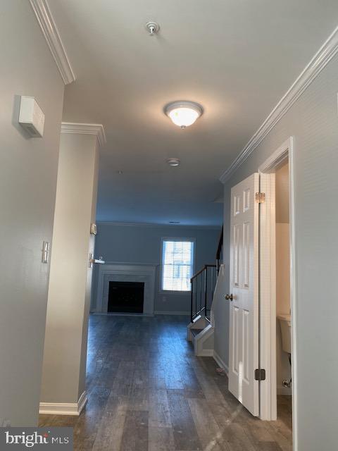 Building Photo - 1408 Nutwood Ct