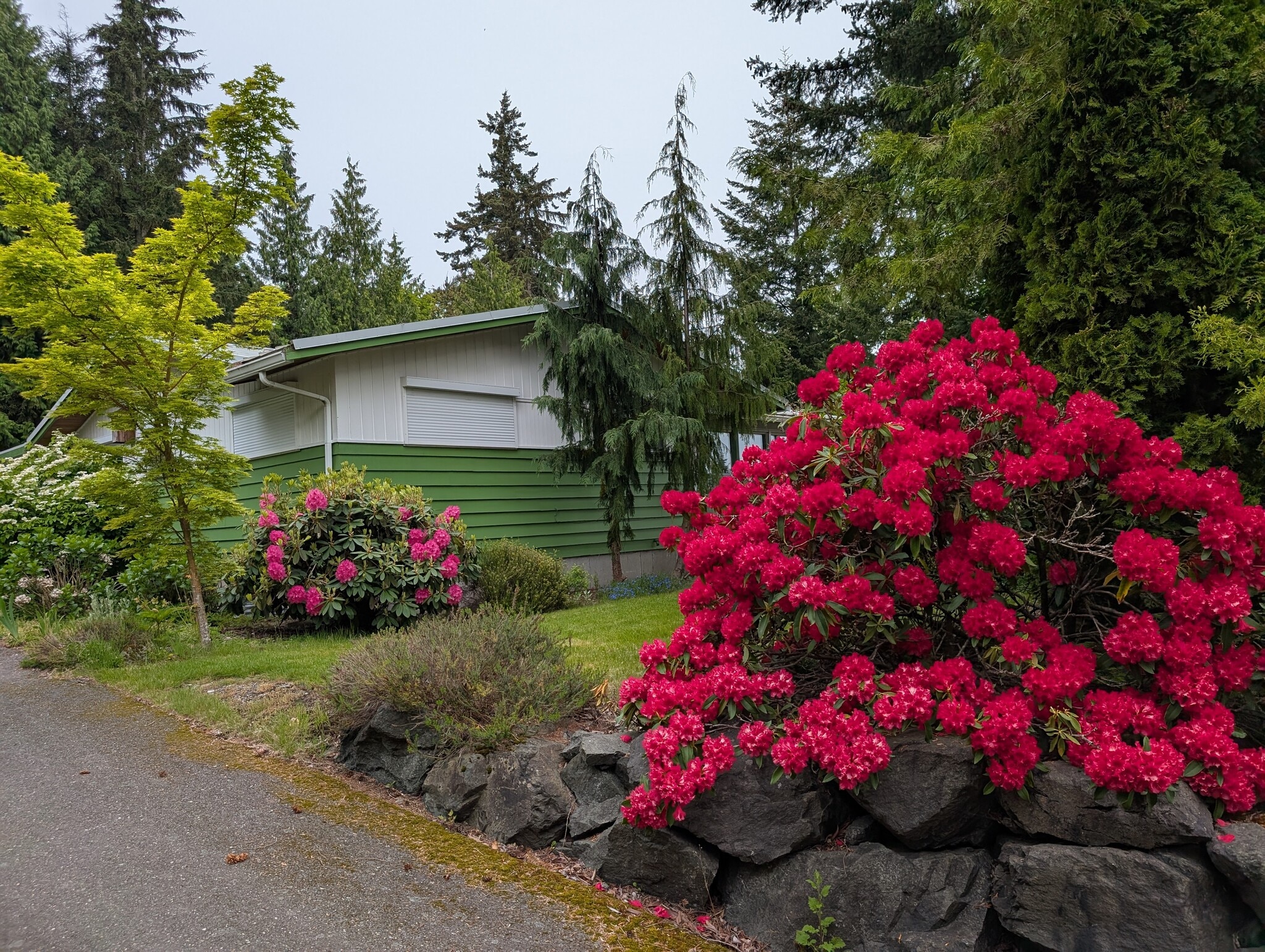 front yard, blinds closed - 2575 Yew Street Rd
