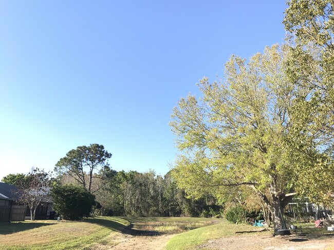 Building Photo - Beautiful Home in Cypress Springs!