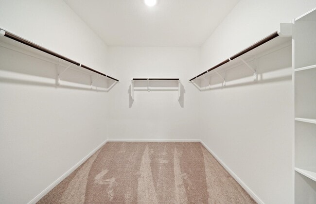 Building Photo - 26128 Brahman Dr