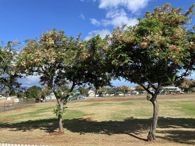 Building Photo - PARKGLEN AT WAIKELE 2/2/2 Bldg E, W/D, C-f...
