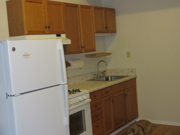Kitchen - 316 Chester St
