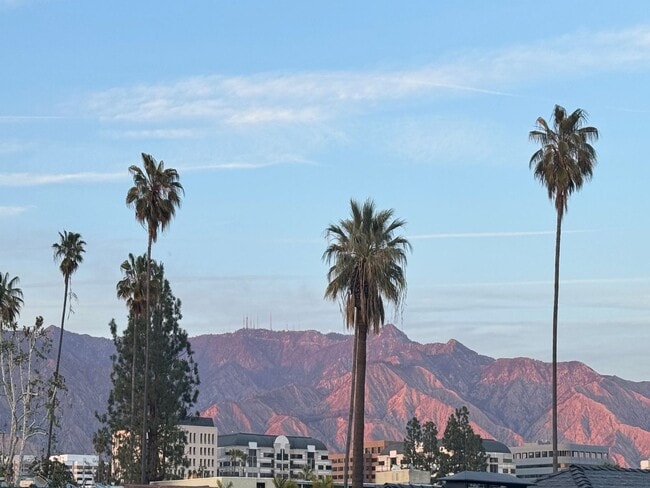 Building Photo - Stylish Condo in the Heart of Downtown Pasadena