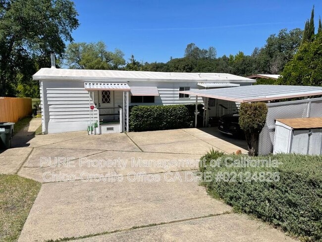 Building Photo - 533 Silver Leaf Dr