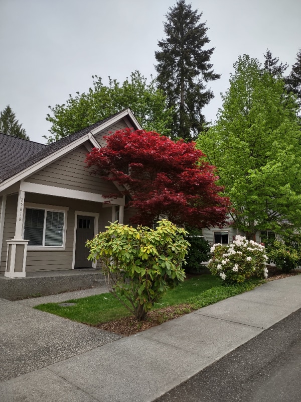 Building Photo - 25818 Arklow Pl NE