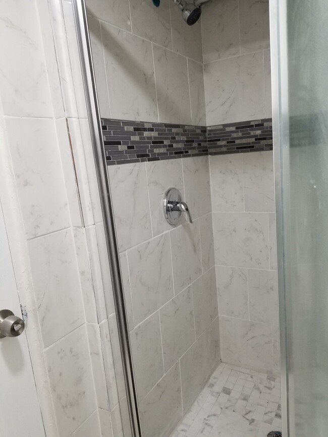 Standing Shower - 5446 N Sawyer Ave