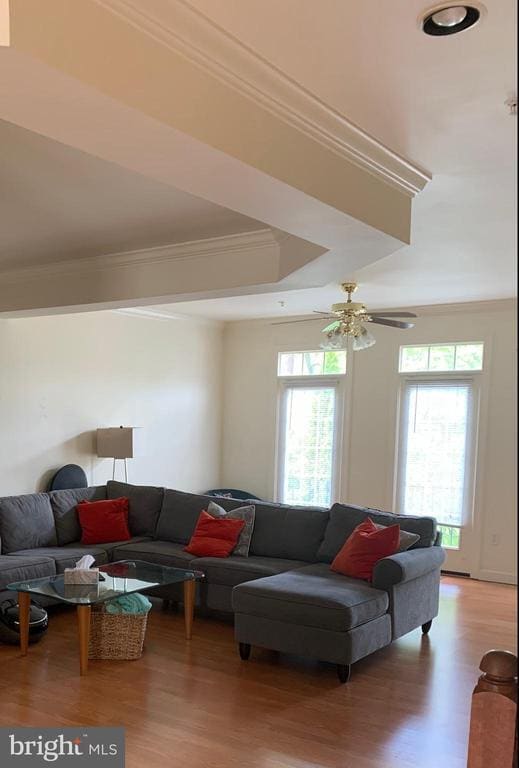 Building Photo - 67 Calabash Ct