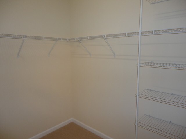 Building Photo - 118 Still Water Cir