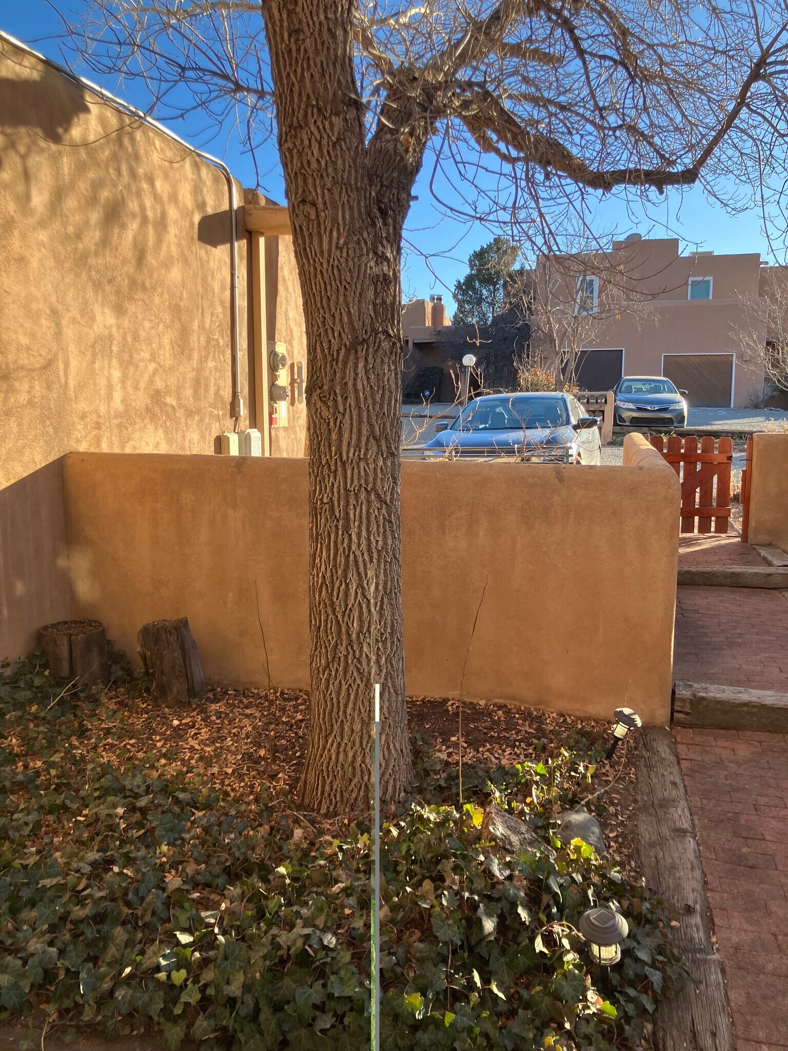 Building Photo - 3228 1/2 La Avenida de San Marcos