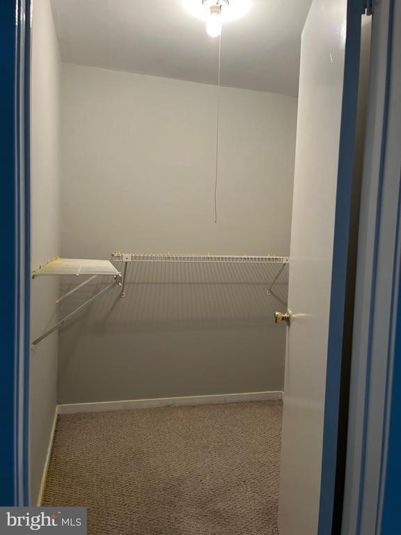 Building Photo - 3105 Trinity Ct