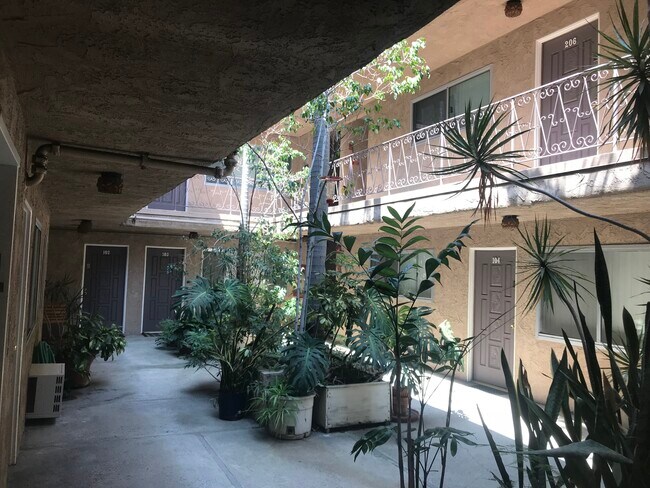 Courtyard - 10425 Irene St