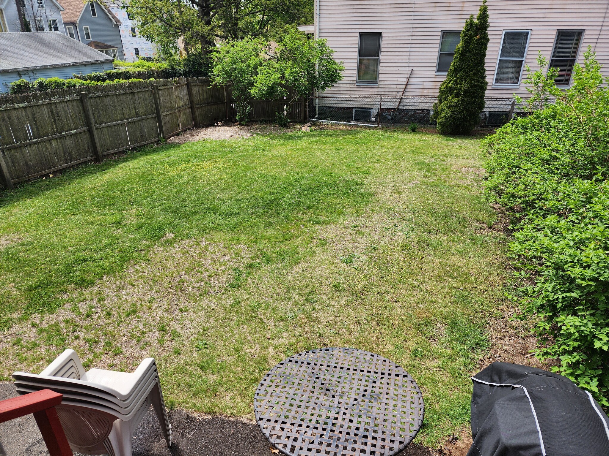 Backyard - 172 Mansfield St