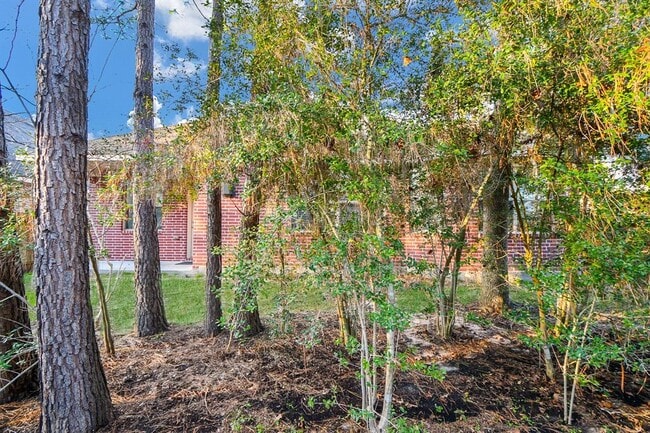 Building Photo - 110 Sweet Leaf Grove Ln