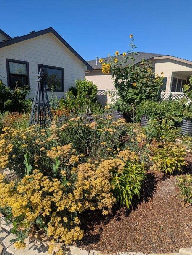 Building Photo - Luxury Living & Outdoor Oasis: Your Perfec...