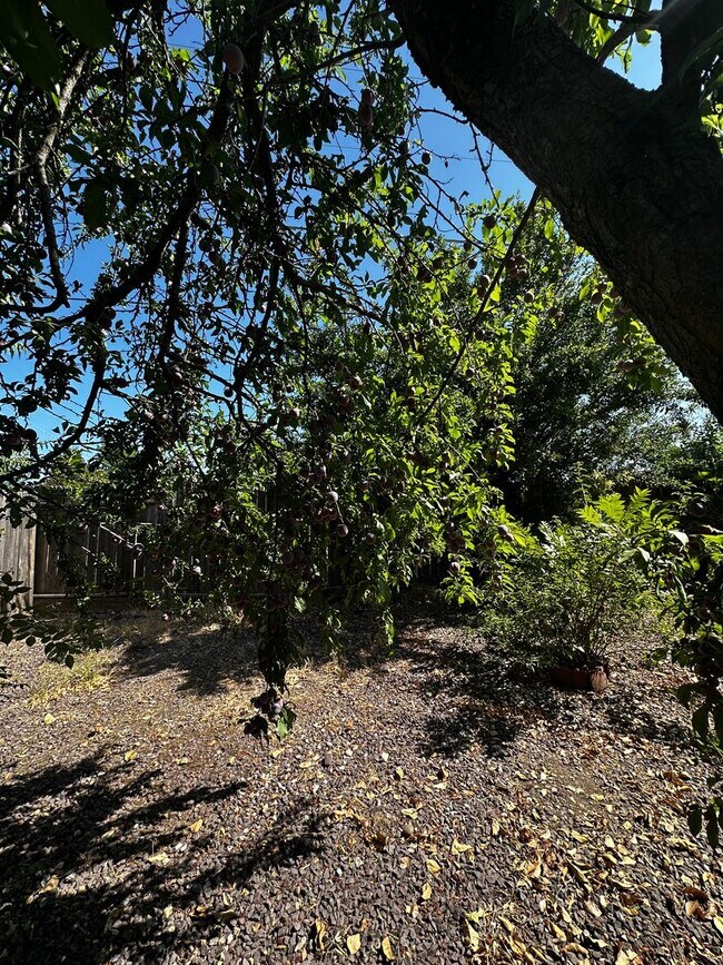 Building Photo - South Redding Home