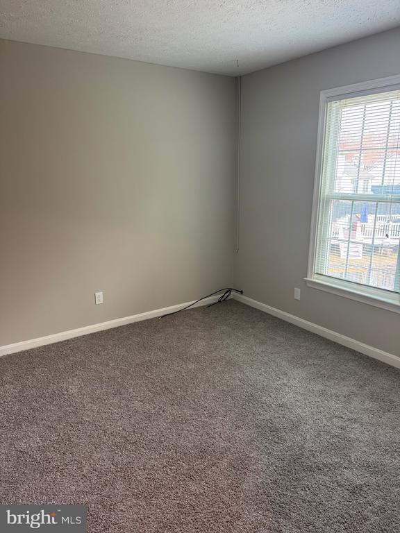 Building Photo - 11629 Enchanted Woods Way