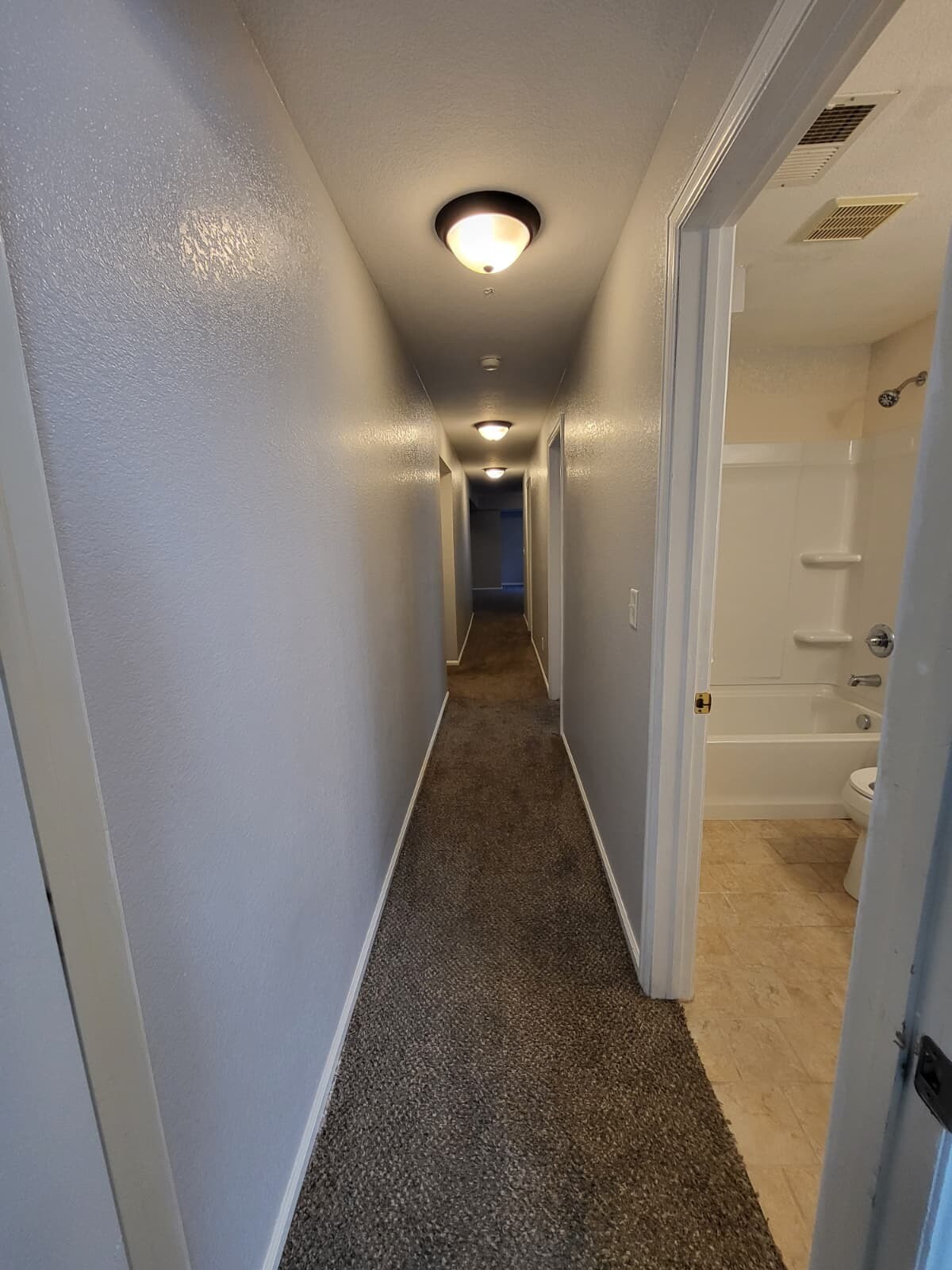 Downstairs Hall - 2704 Breckenridge PL