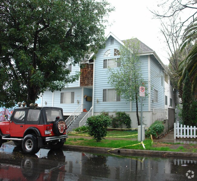 tree obstruction - 5217 Satsuma Ave