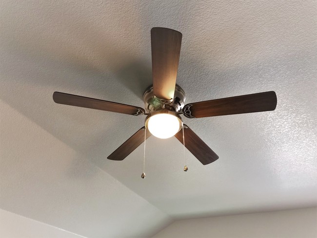 Vaulted Ceilings with Fans - 128 E Ball Rd