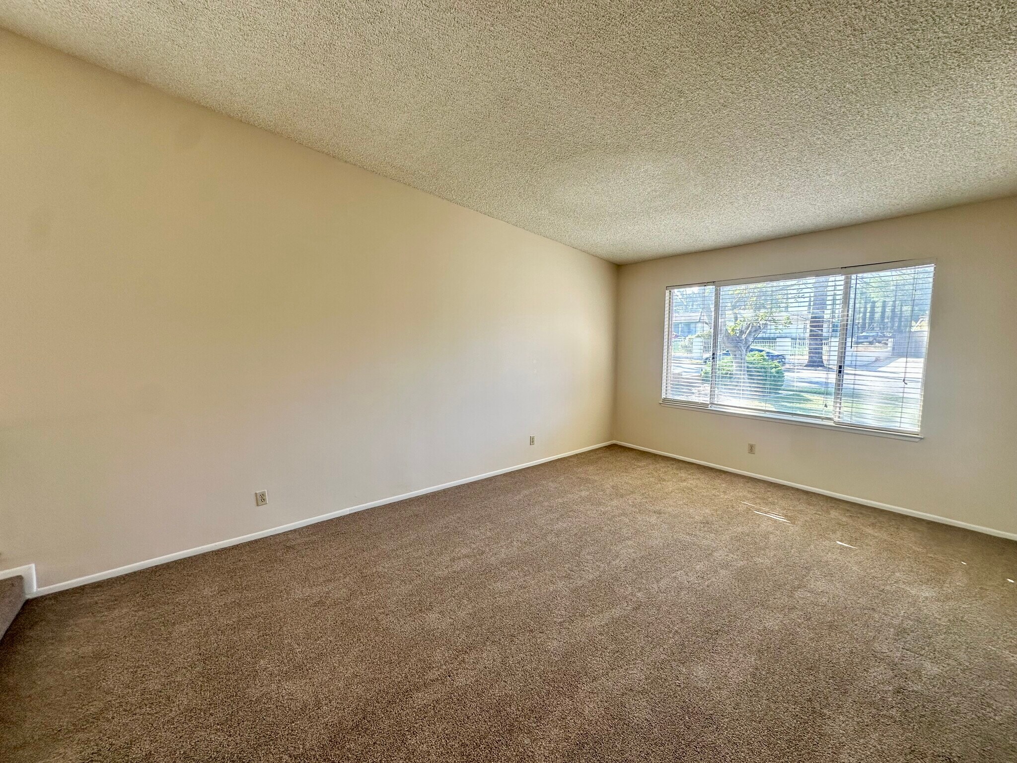 Building Photo - 1384 Naples Ct