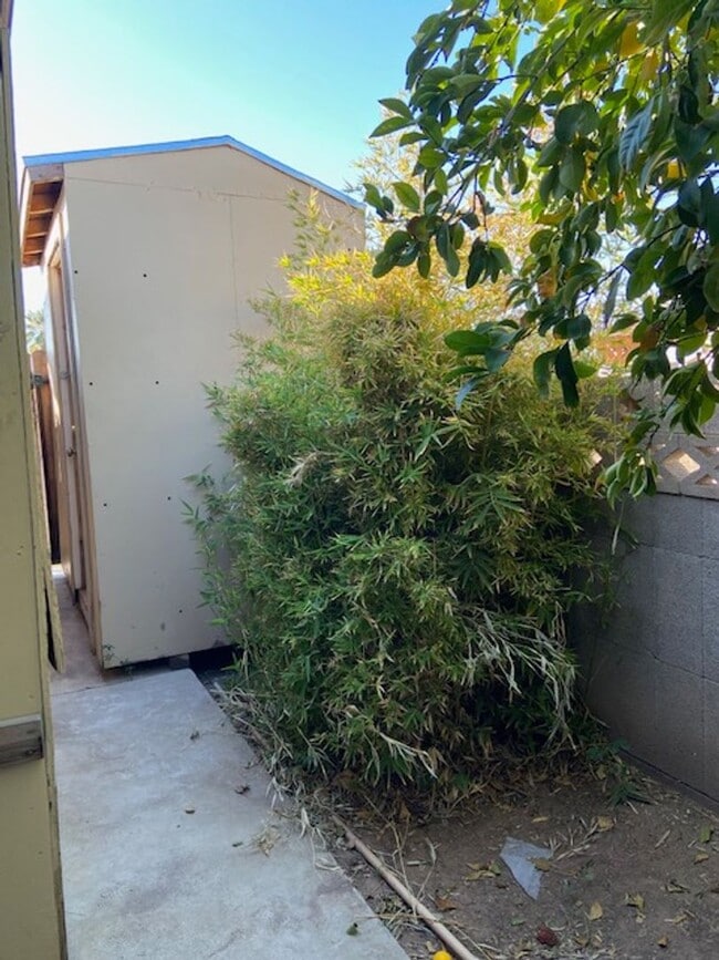 Building Photo - adorable 1 bed 1 bath with backyard private