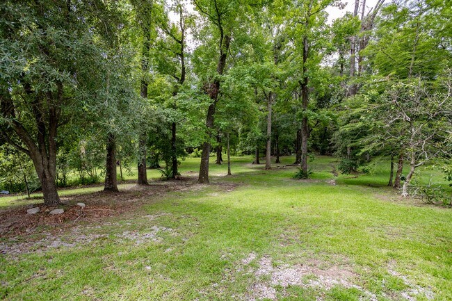 Building Photo - Historic Highland Road Beauty with Bayou V...