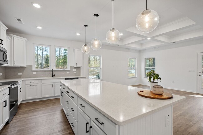 Building Photo - New Build Rental Home at Lake Royal!