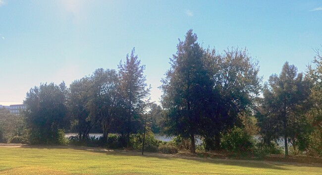 Building Photo - 3 Story Townhome Overlooking The Savannah ...