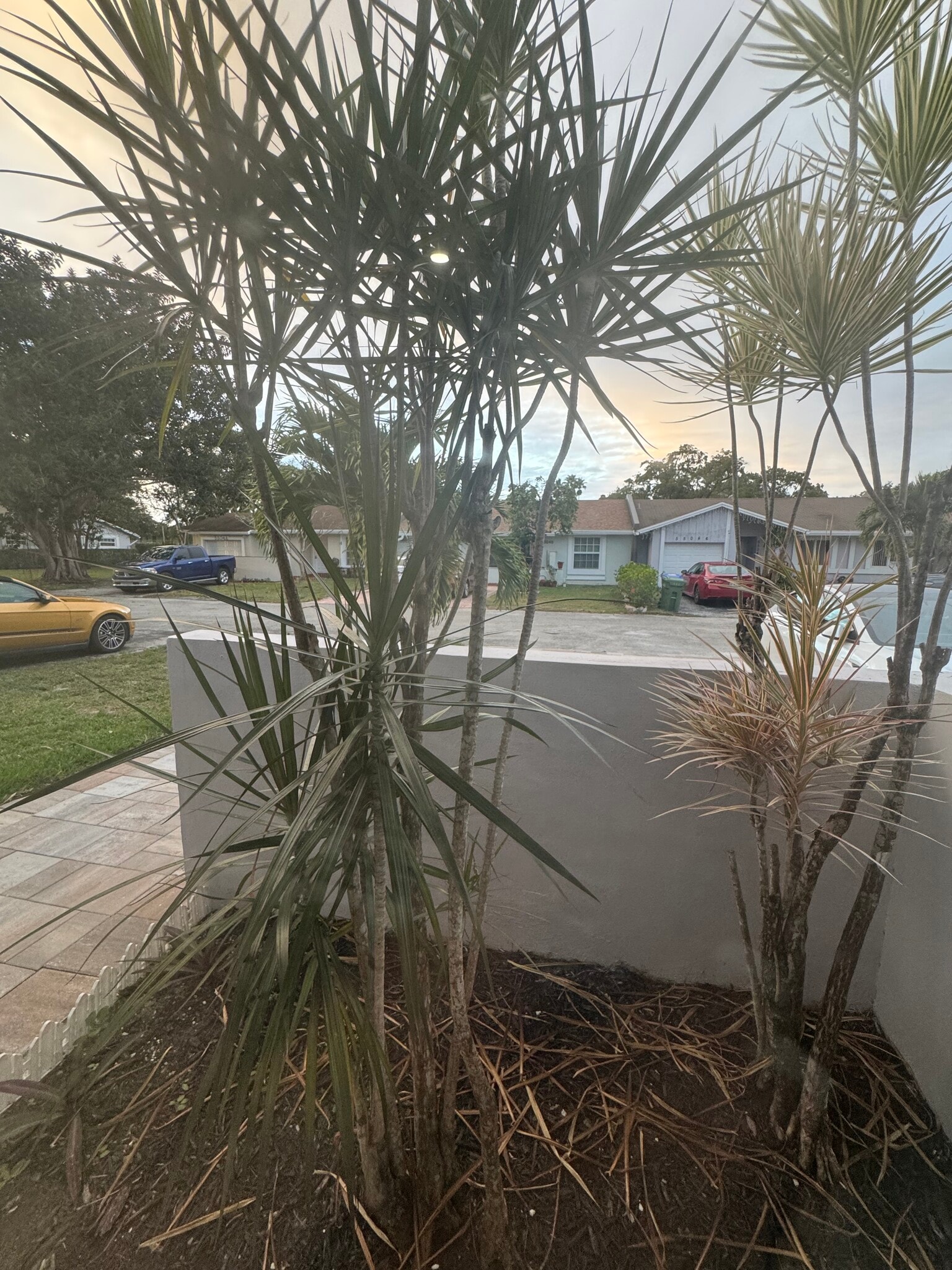 Building Photo - 5482 Lakewood Cir S