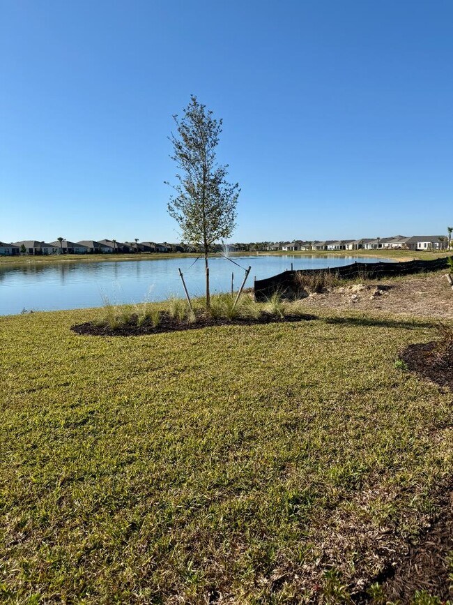 Building Photo - 17827 Shade Tree Loop