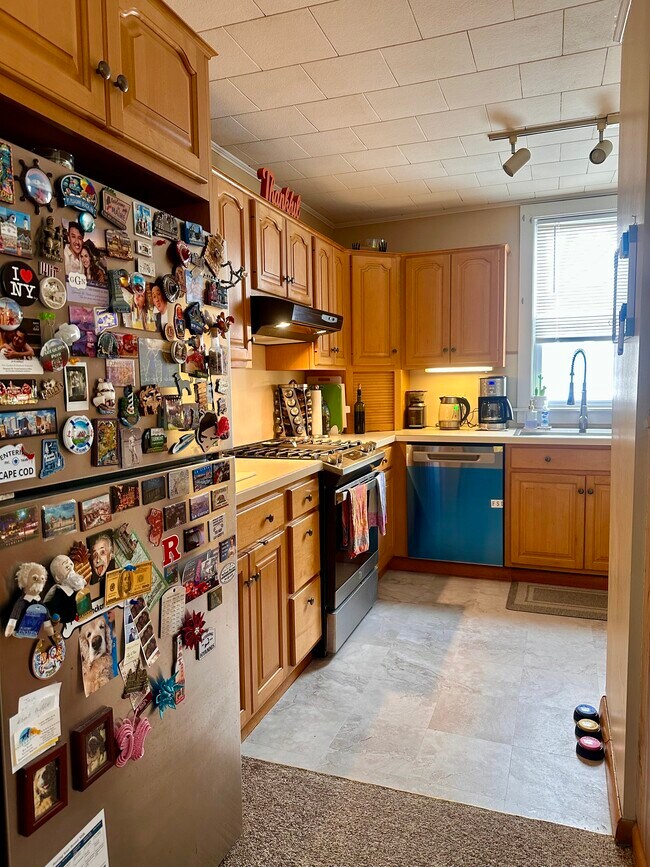 Kitchen (new stainless steel appliances and sink) - 103 Main St