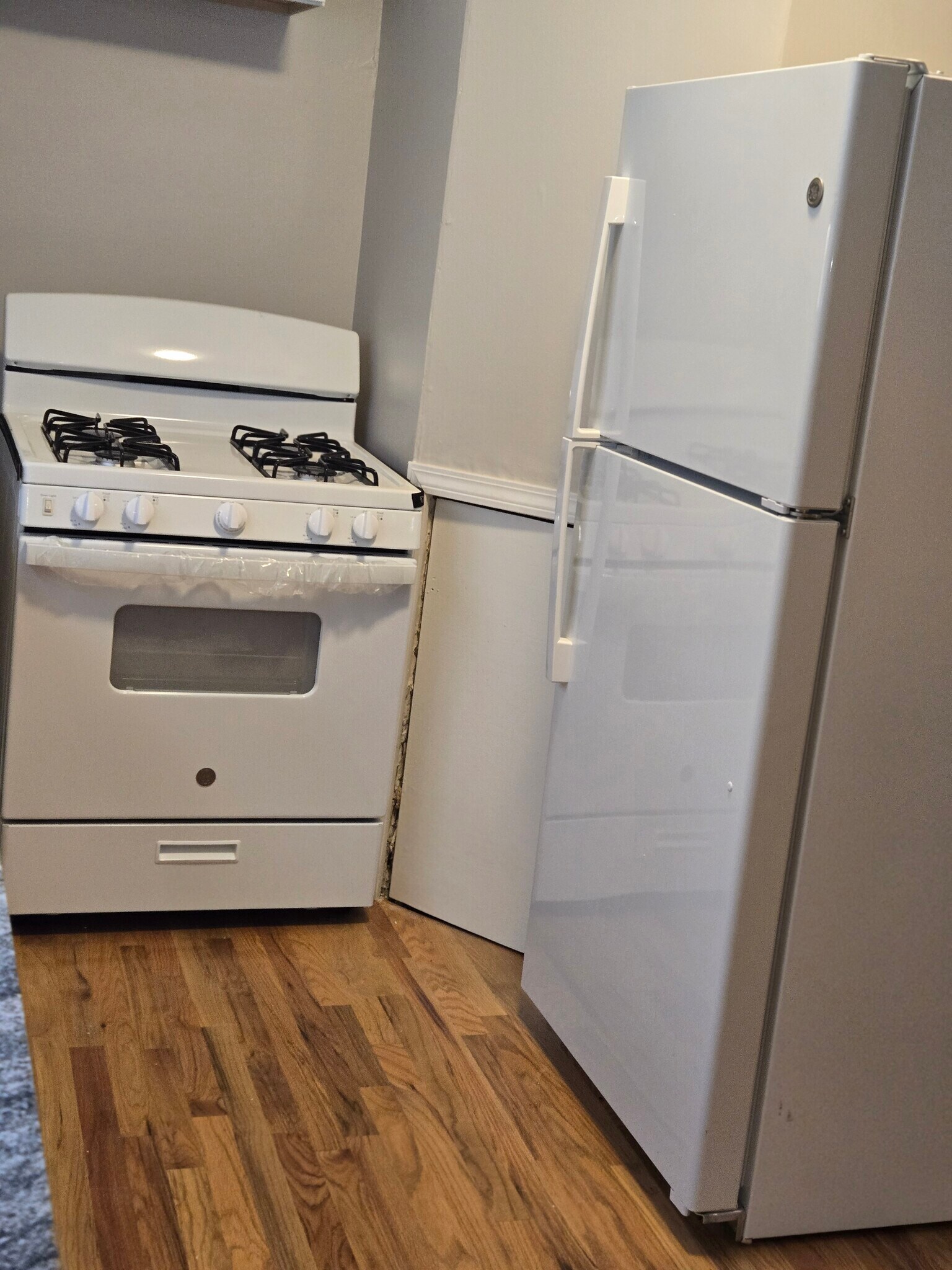 kitchen - 1714 W Touhy Ave