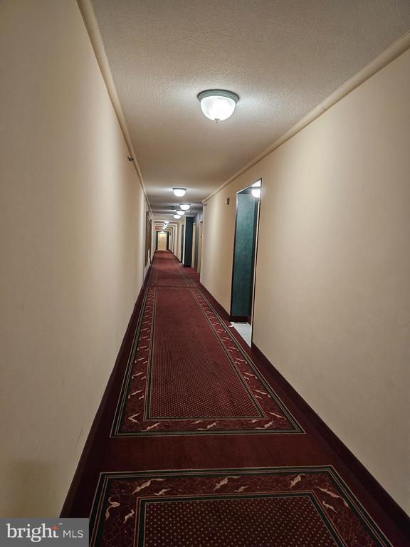 Building Photo - 3709 S George Mason Dr