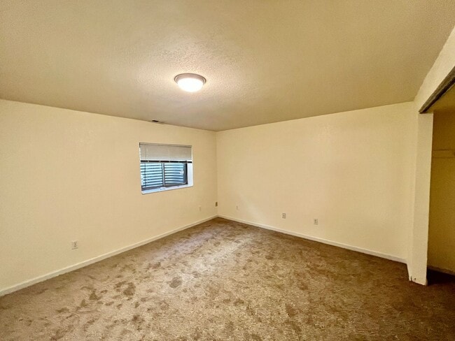Building Photo - 4 Bedroom Rancher in Sundown w/ NEW CARPET!!